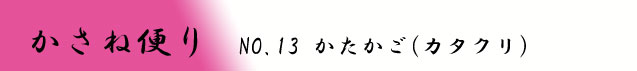 ˕ւ No.13 